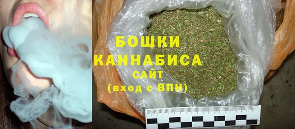 индика Липки